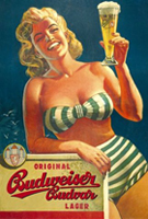 Будвайзер Баденикс Будвайзер Баденикс