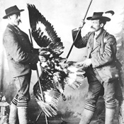 Охотники на беркутов Охотники на беркутов