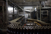 Brouwerij Bosteels, Buggenhout, Belgium 2013 Brouwerij Bosteels, Buggenhout, Belgium 2013