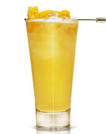 Golden Dream Golden Dream